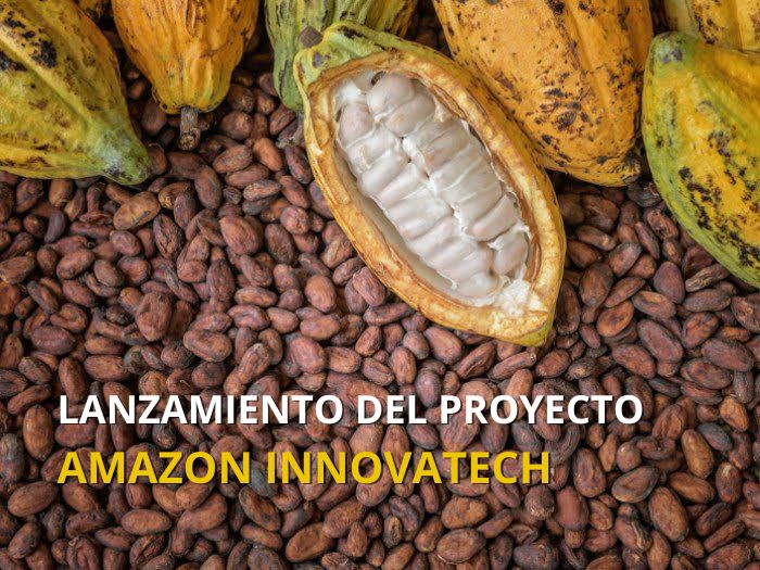 Lanzamiento del proyecto Amazon Innovatech
