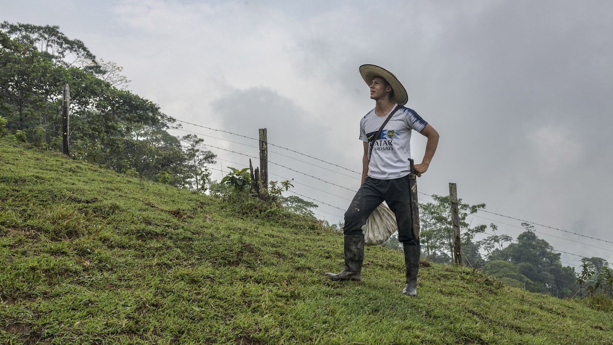 Amazonia Connect, enfoque jurisdiccional, café, Colombia
