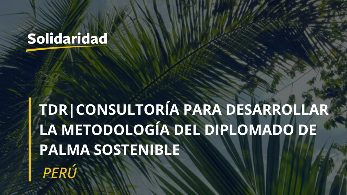 Consultoría para dearollar la metodología del diplomado de Palma Sostenible