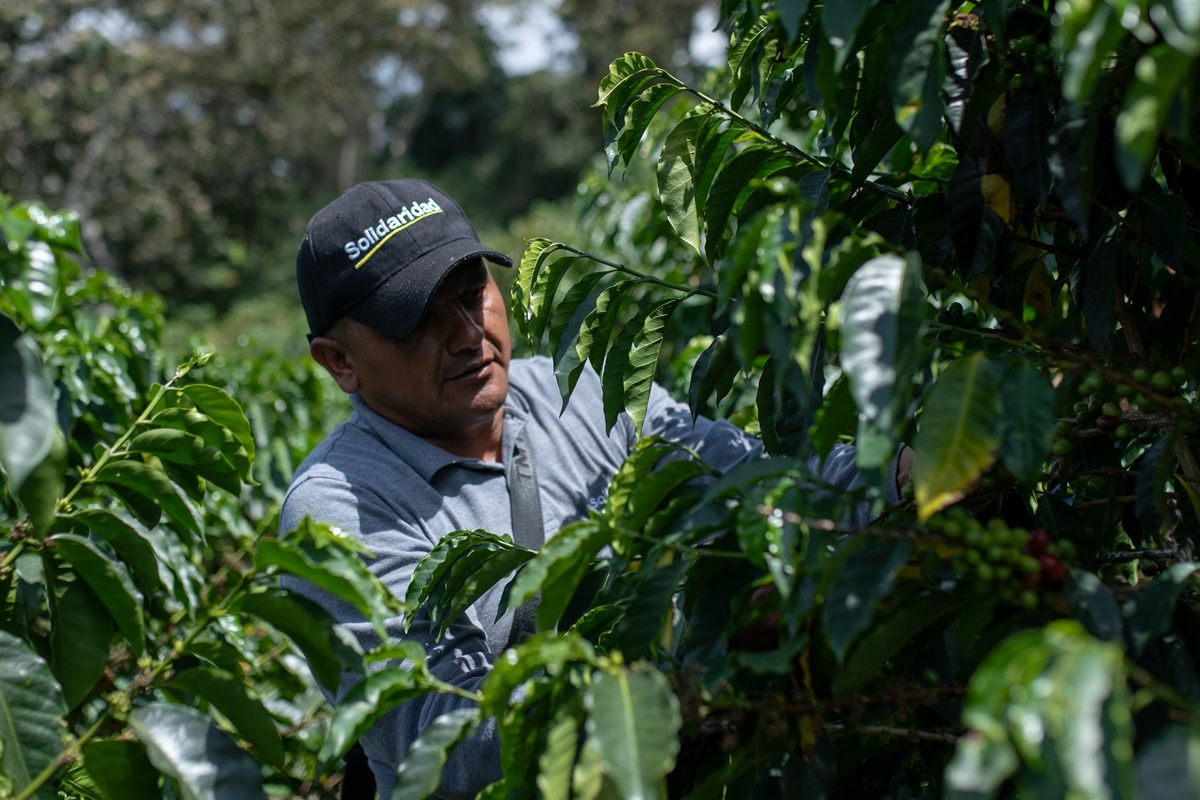 José Eduard Muñoz, coordinador de Asómbrate en Cauca