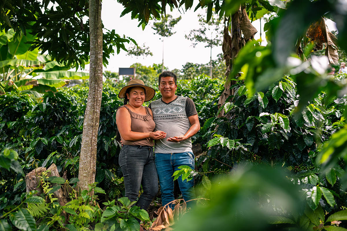 P2P café Perú