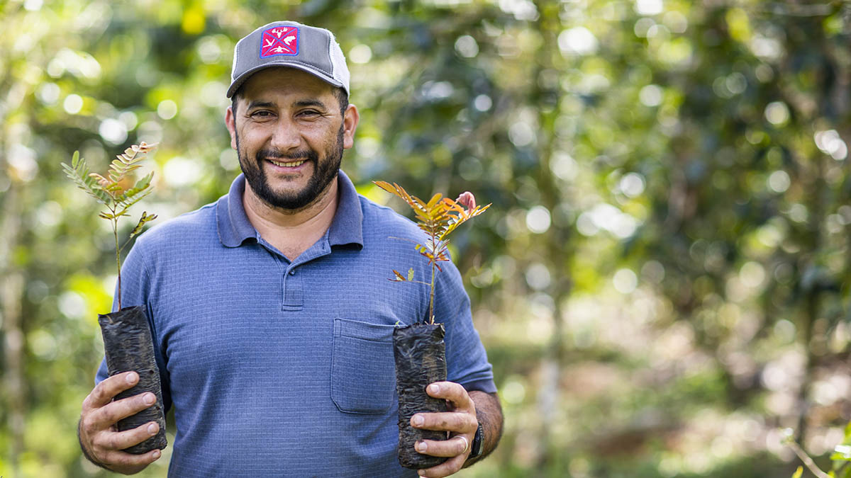 Solidaridad-Nicaragua-Agroforestales-Café-Arboles-Productores