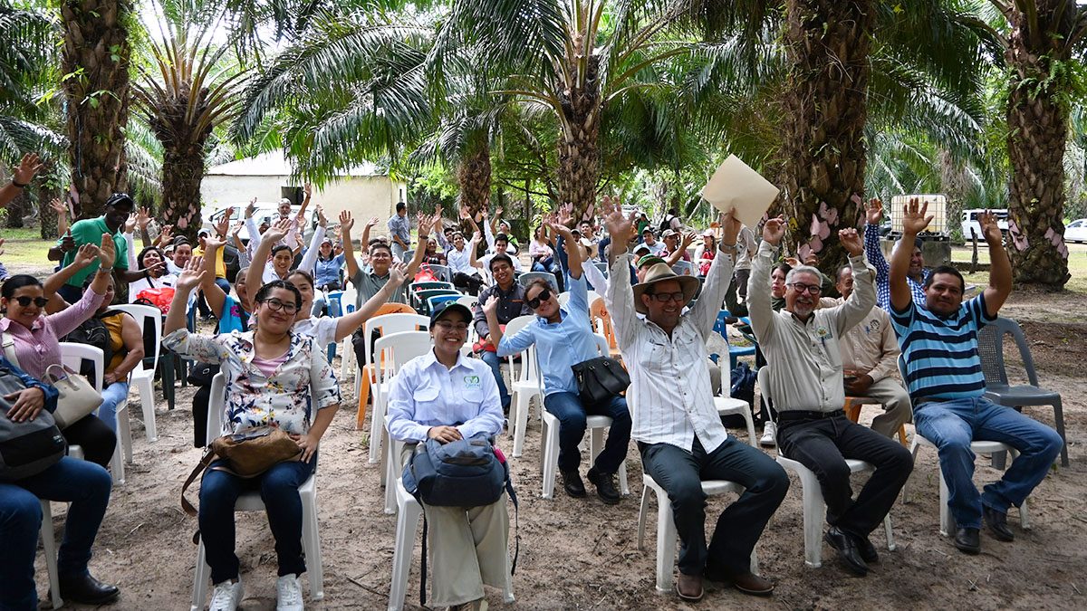 Solidaridad-Palma-Aceite-Productores-RSPO-Sostenible-México