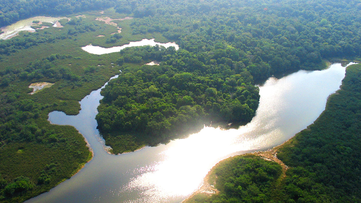 Solidaridad-WCS-Remediación-Compensación-Guatemala-Palma