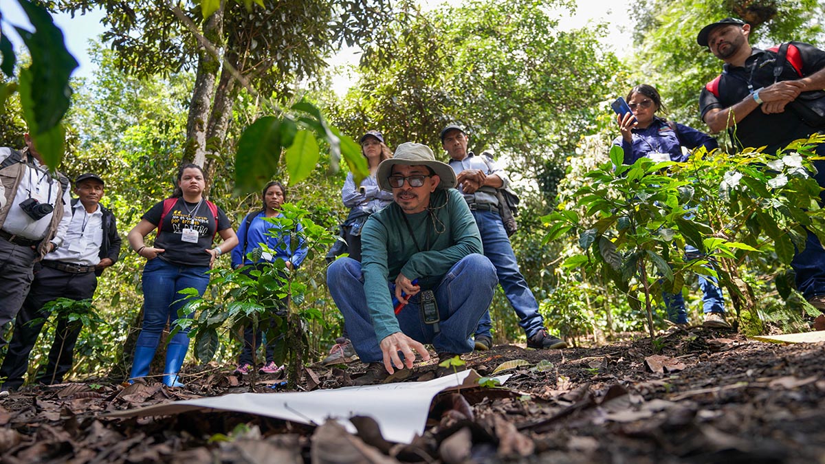 Solidaridad-Práctica-Campo-Parcela-Café-Agroforestal-Academia-Carbono-Guatemala