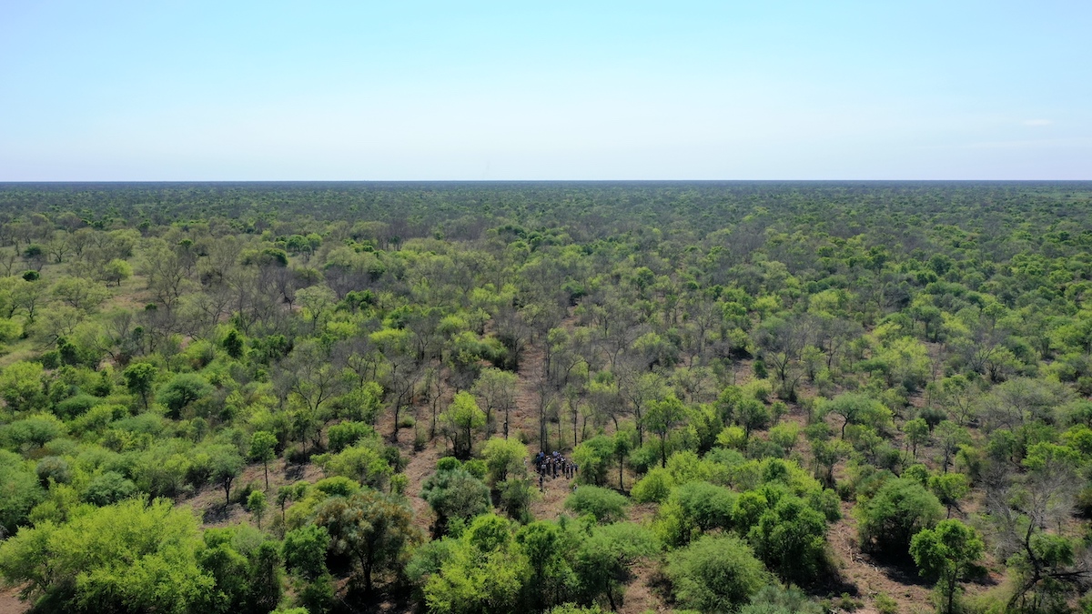 EUDR Gran chaco Argentina