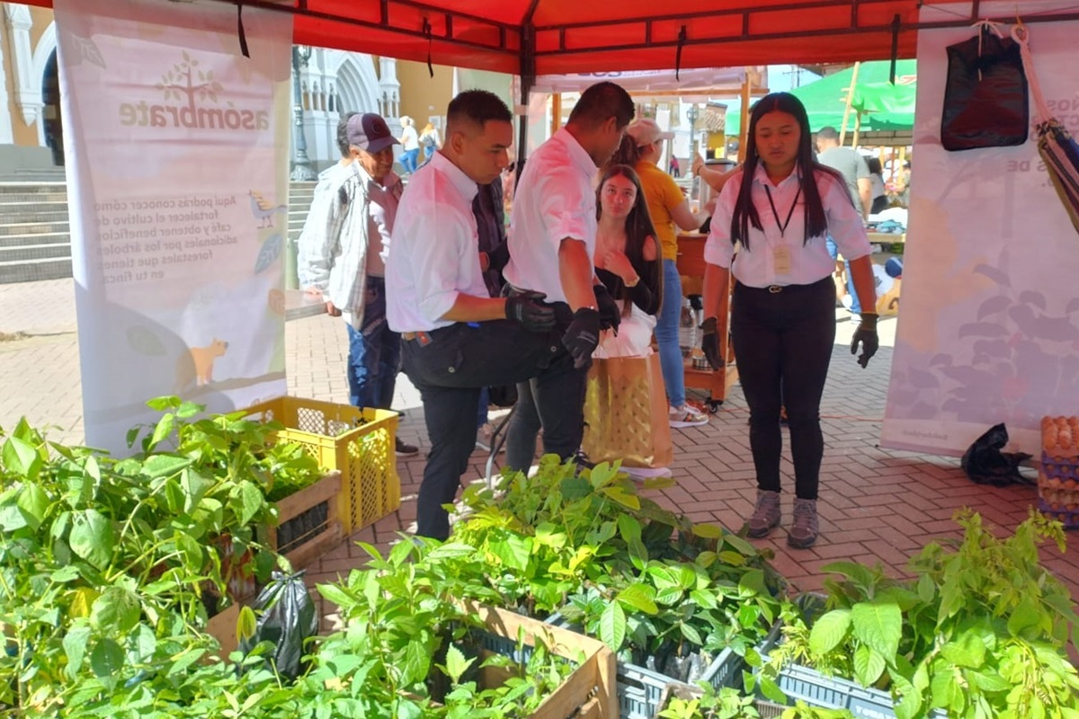 Feria del Árbol Abejorral 1