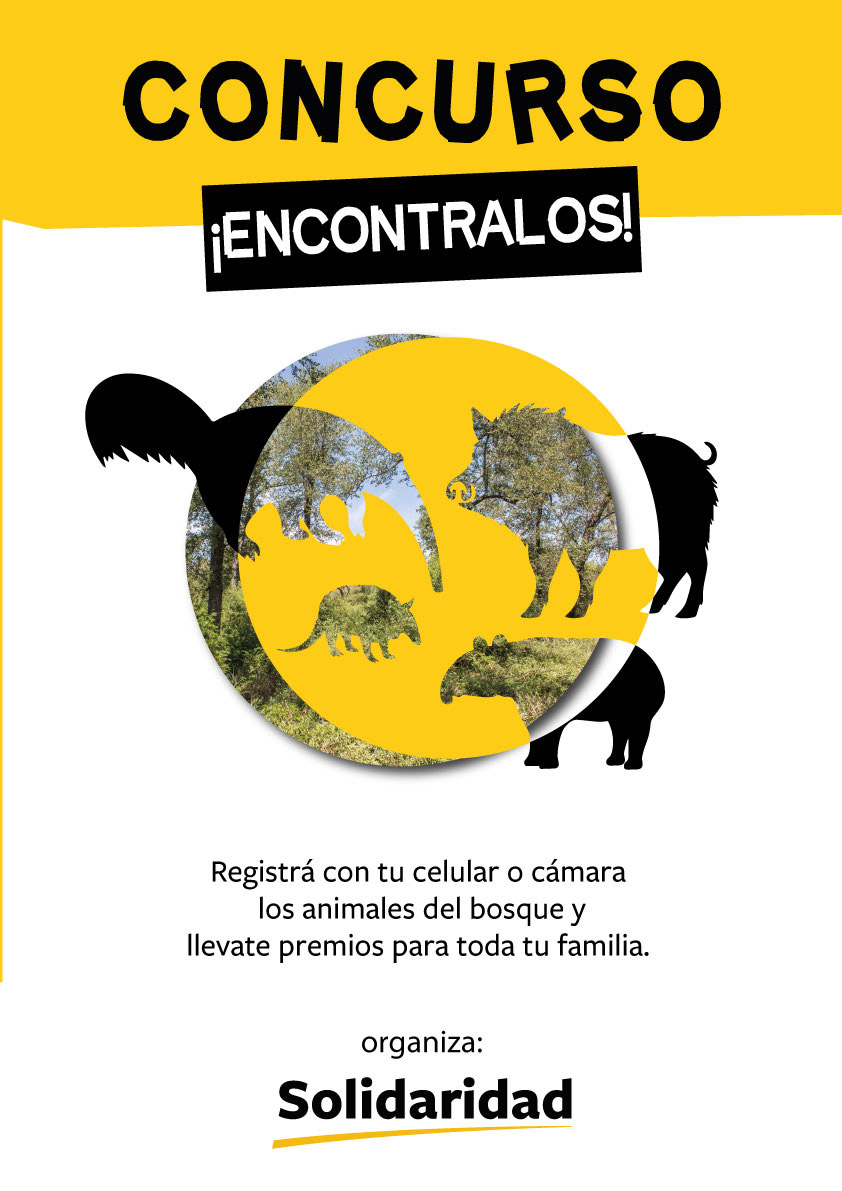 Poster-concurso biodiversidad