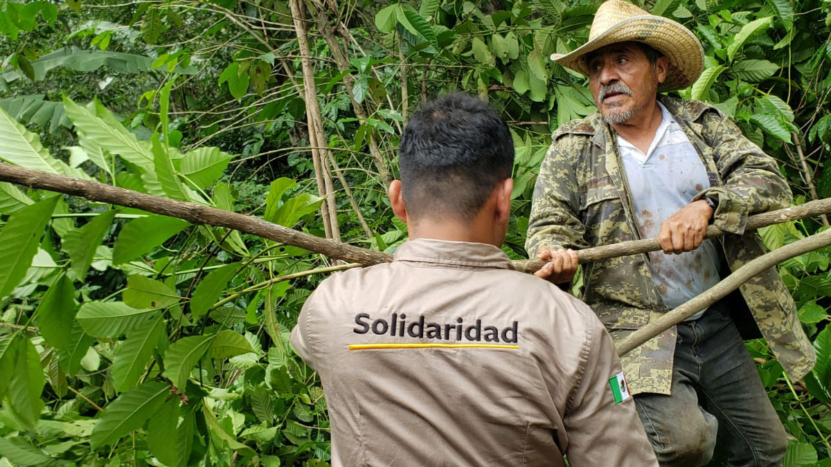 Solidaridad-México-Artículo de Opinión-2024