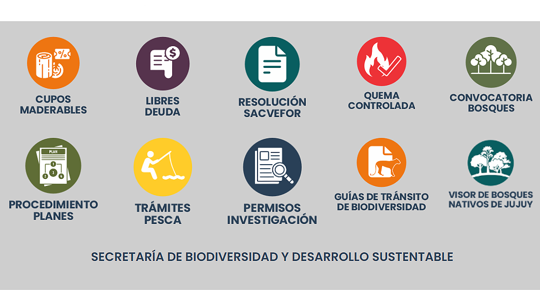 Visor de Bosques - Acceso desde web Ministerio Ambiente