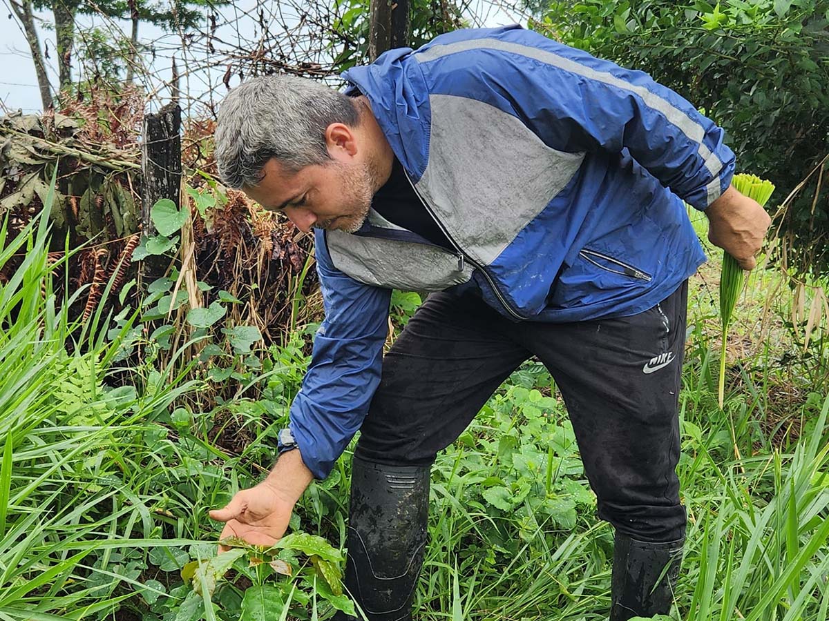 Amazonia Connect, Fidel, Colombia