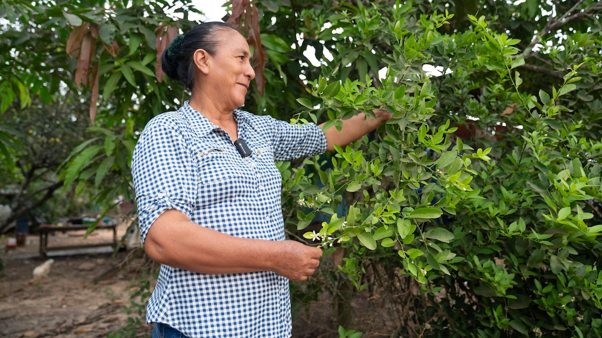 Sonia, líder de palma aceitera sostenible en Perú. Amazonía Connect