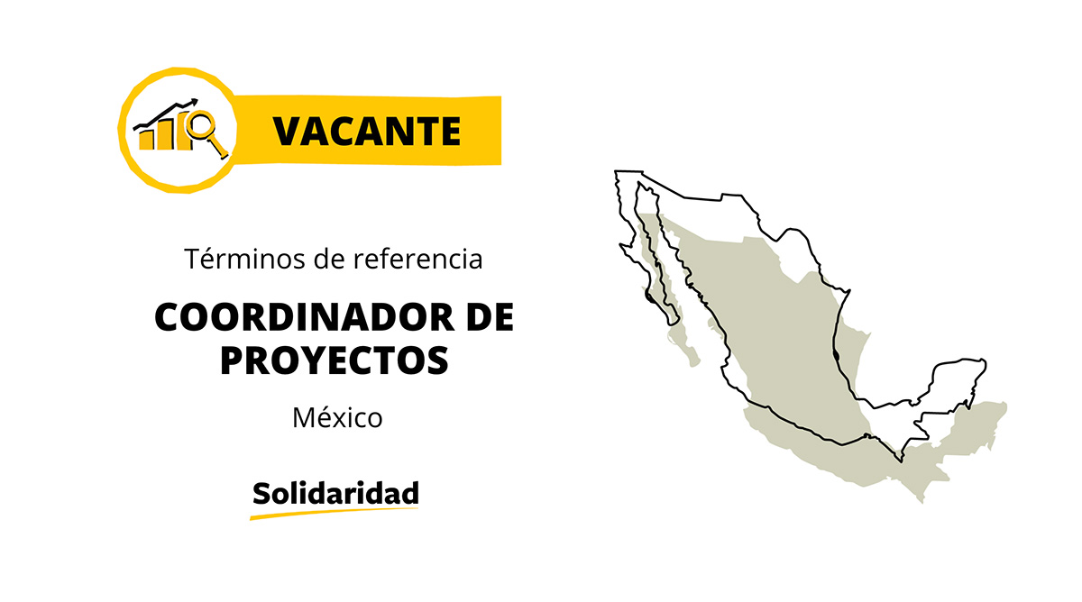 Coordinador de proyectos