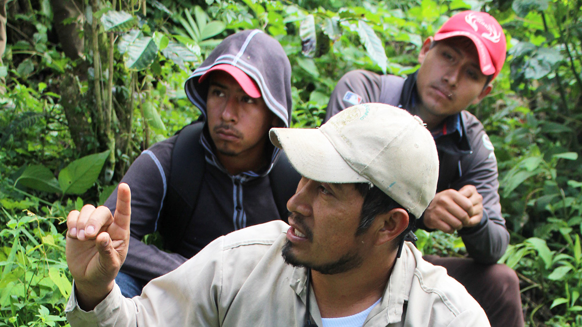 Solidaridad-Café-México-Familia-Éxito-Sostenibilidad-Buenas-Prácticas (1)