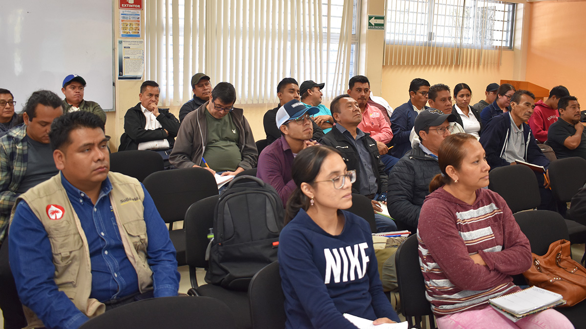 Solidaridad-México-Café-Curso-Regulación-Eurd-Productores-Prácticas-Sostenibles