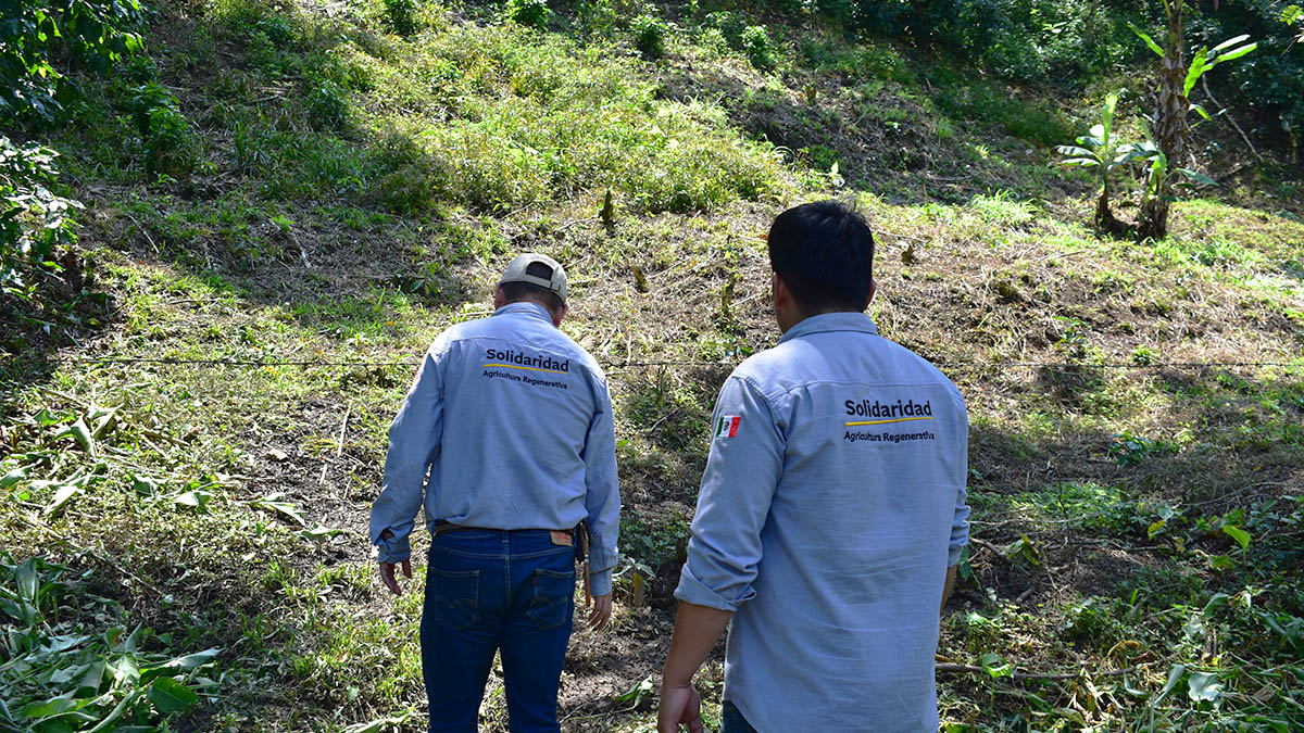 Solidaridad-Agrolearning-2024-México-Jaltenango-Chiapas-Café