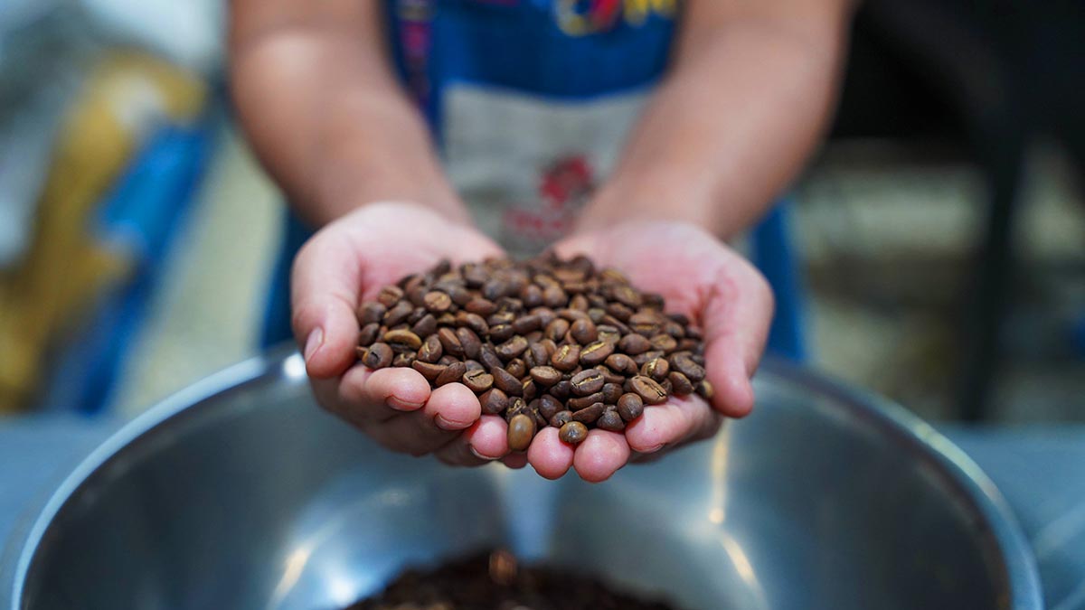 Solidaridad-Guatenala-Café-Quch-Sostenibilidad-Resiliencia