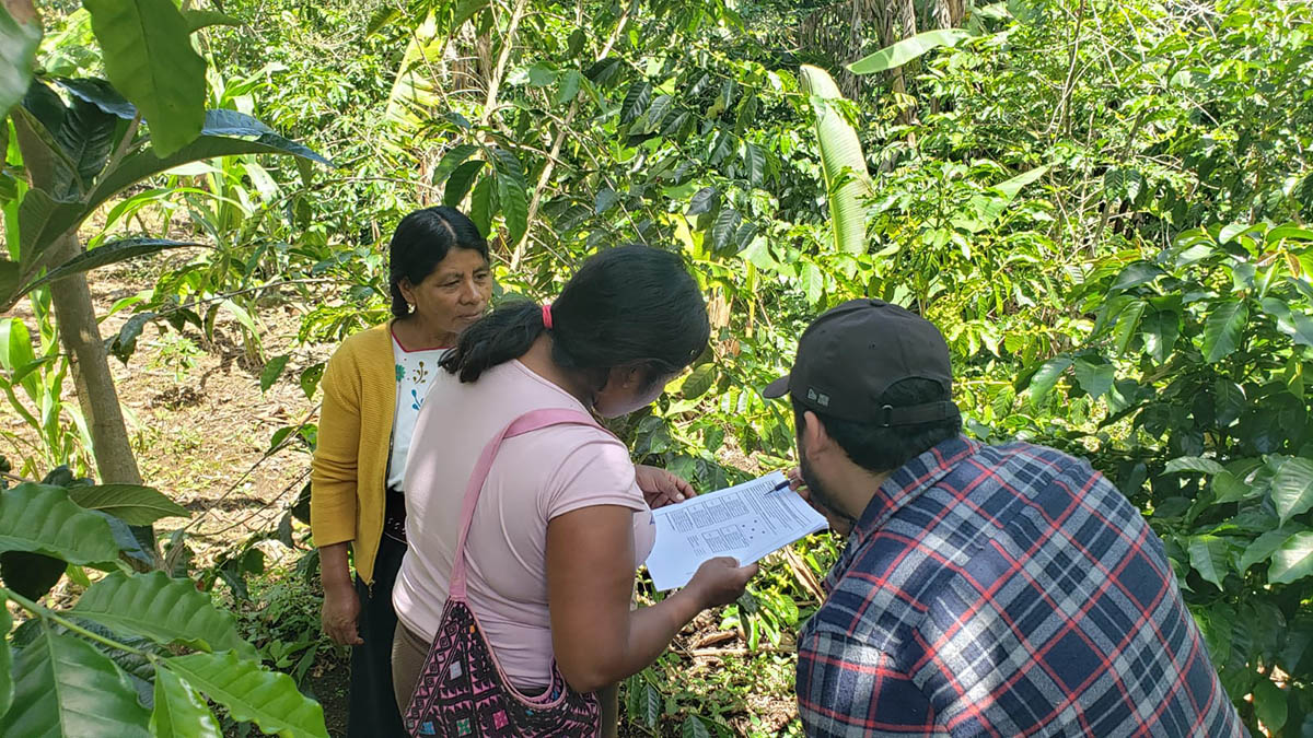 Solidaridad-Louis-Dreyfus-Company-2025-Café-Capacitación