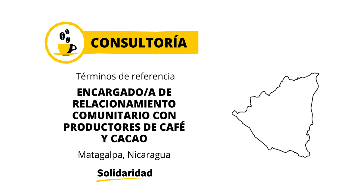CONSULTORIA - CAFE- CACAO - NIC