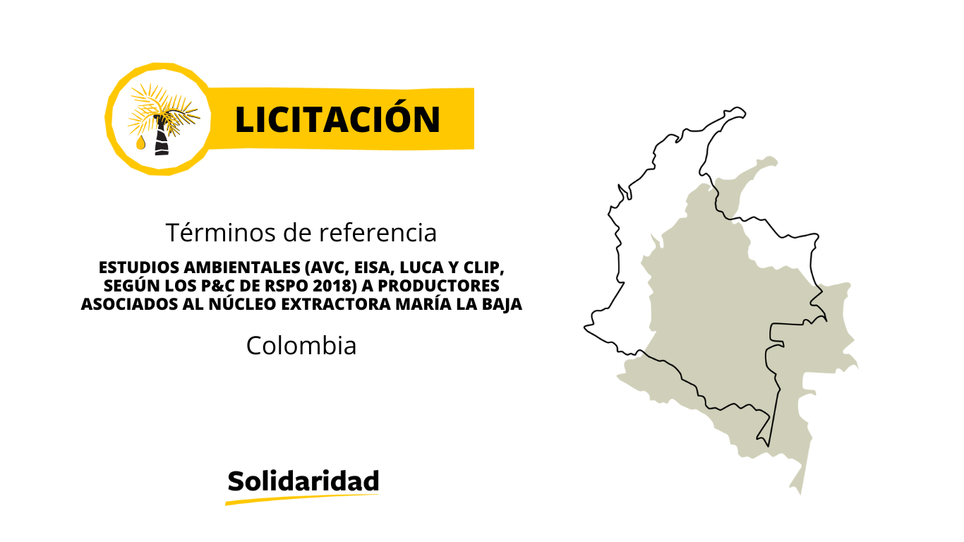 Estudios ambientales (AVC, EISA, LUCA y CLIP, según los P&C de RSPO 2018) a productores asociados al núcleo extractora María La Baja