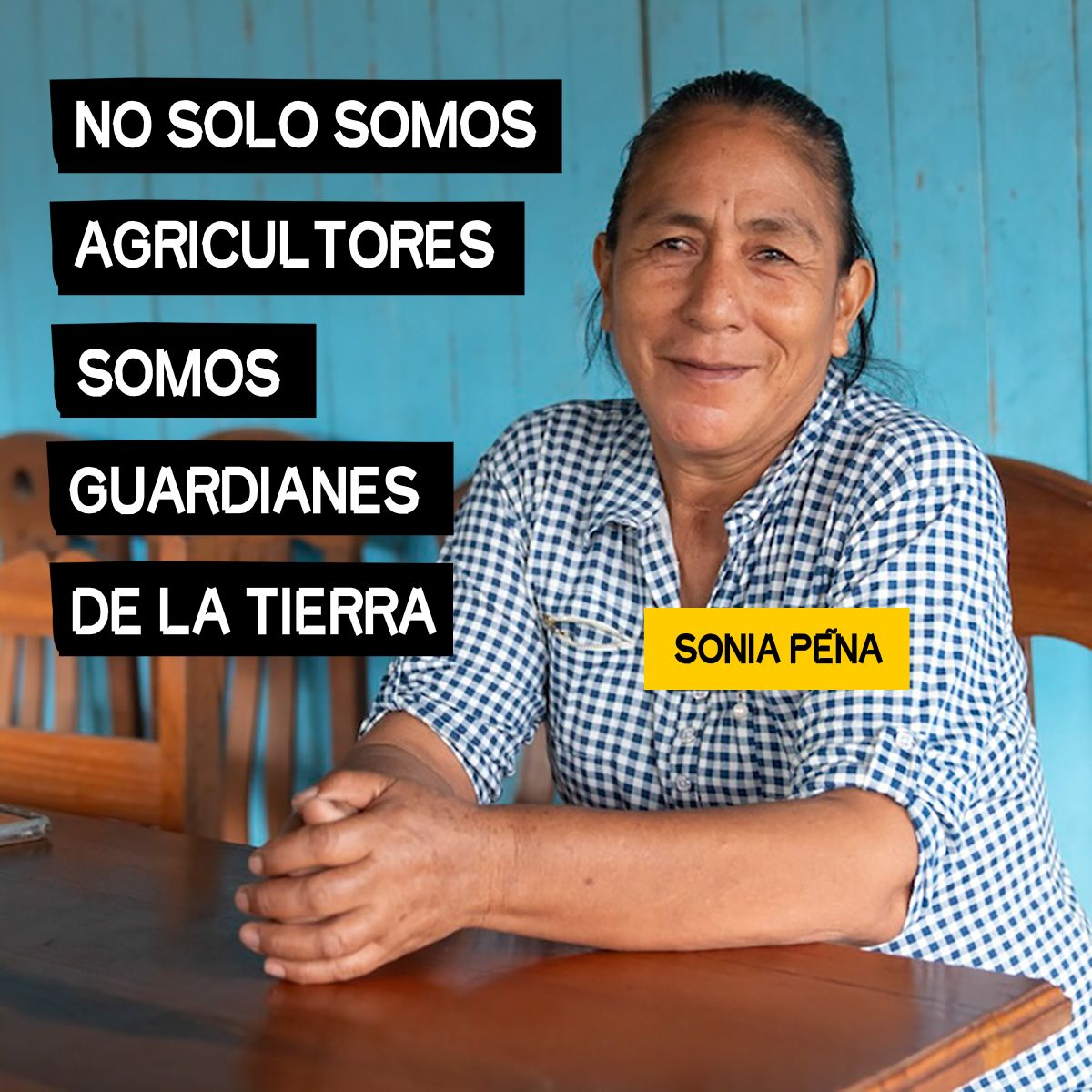 Sonia Peña, productora de palma de Perú en el programa Amazonía Connect