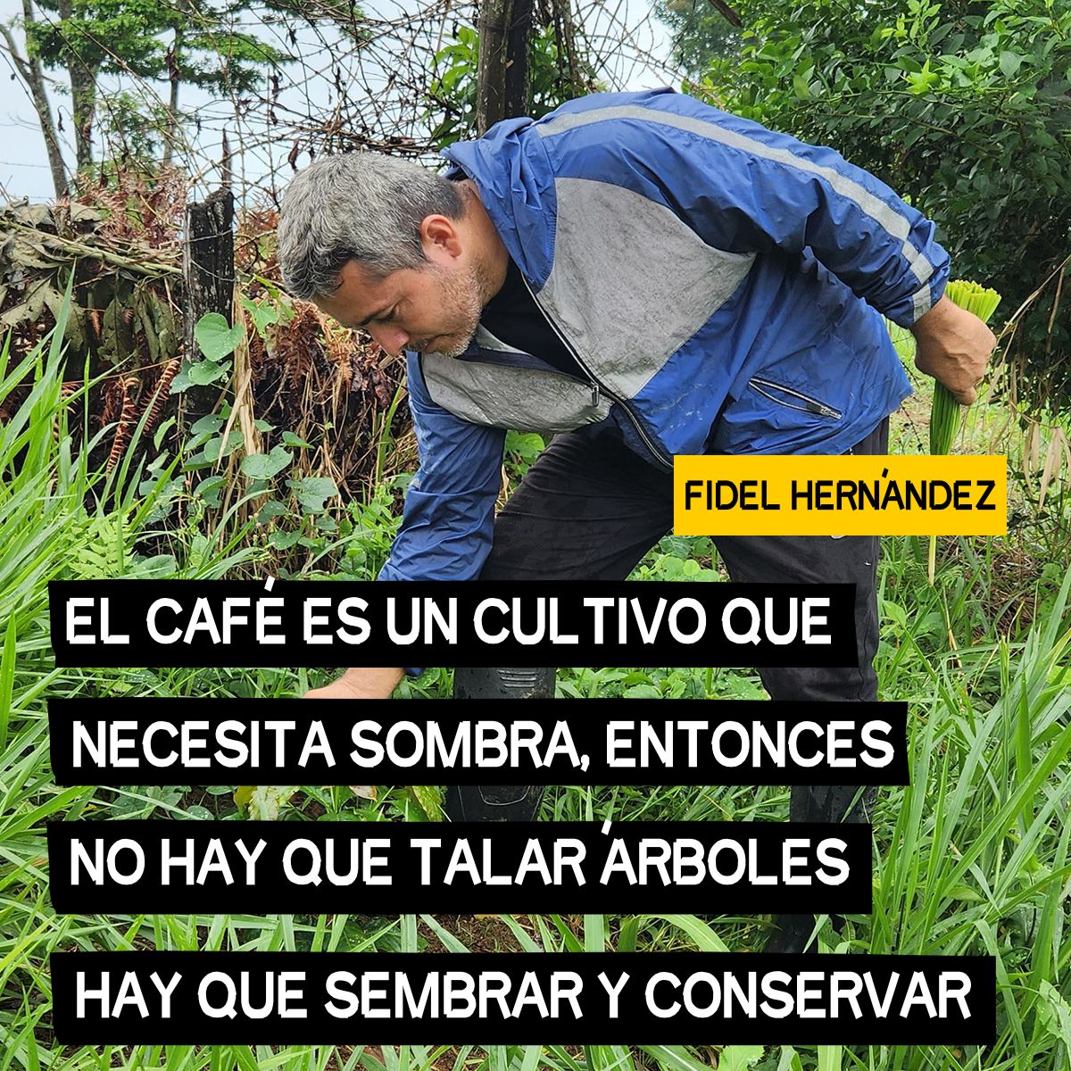 Fidel Hernández, productor de café de Colombia en el programa Amazonía Connect