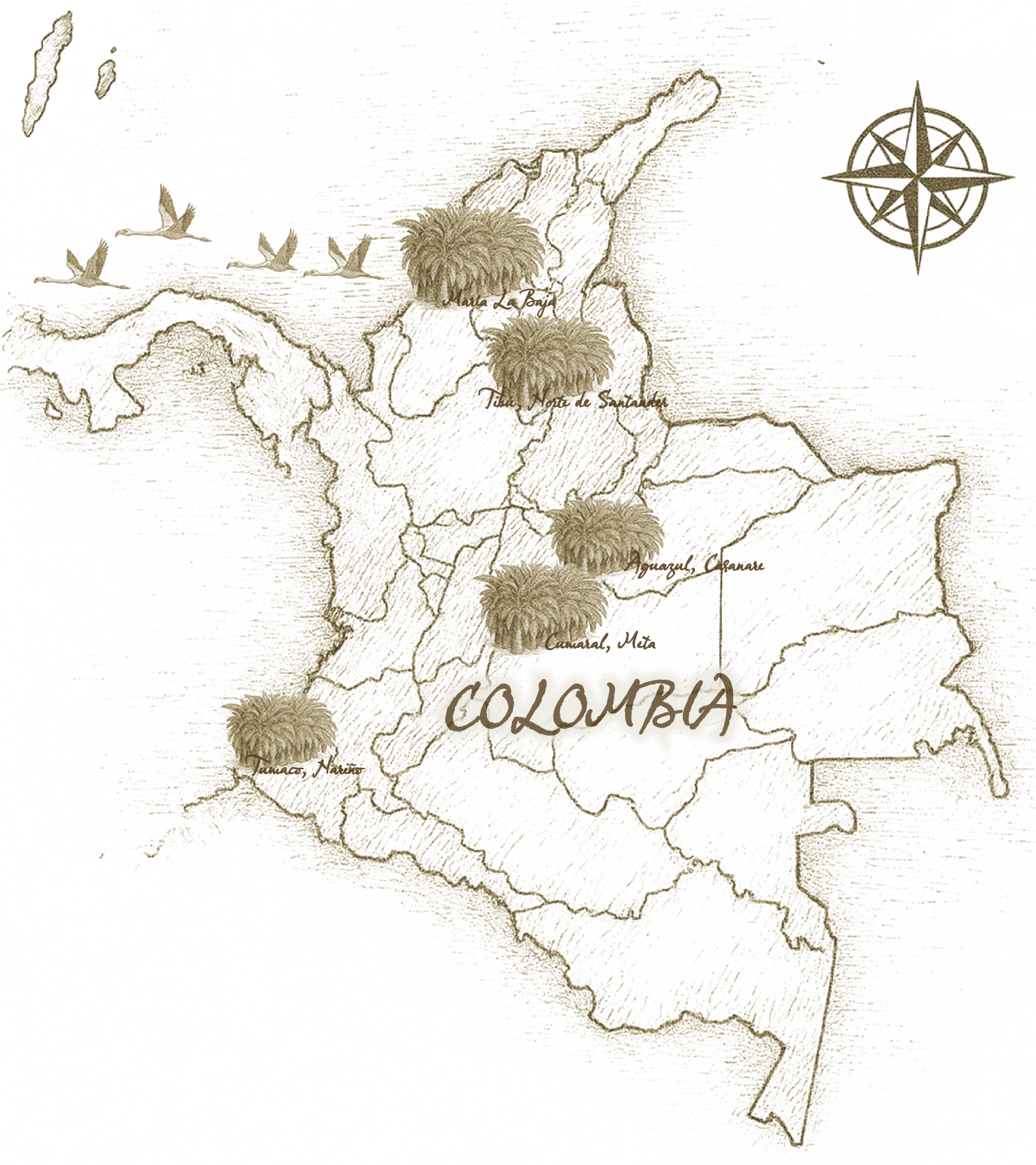 Zonas palmeras
