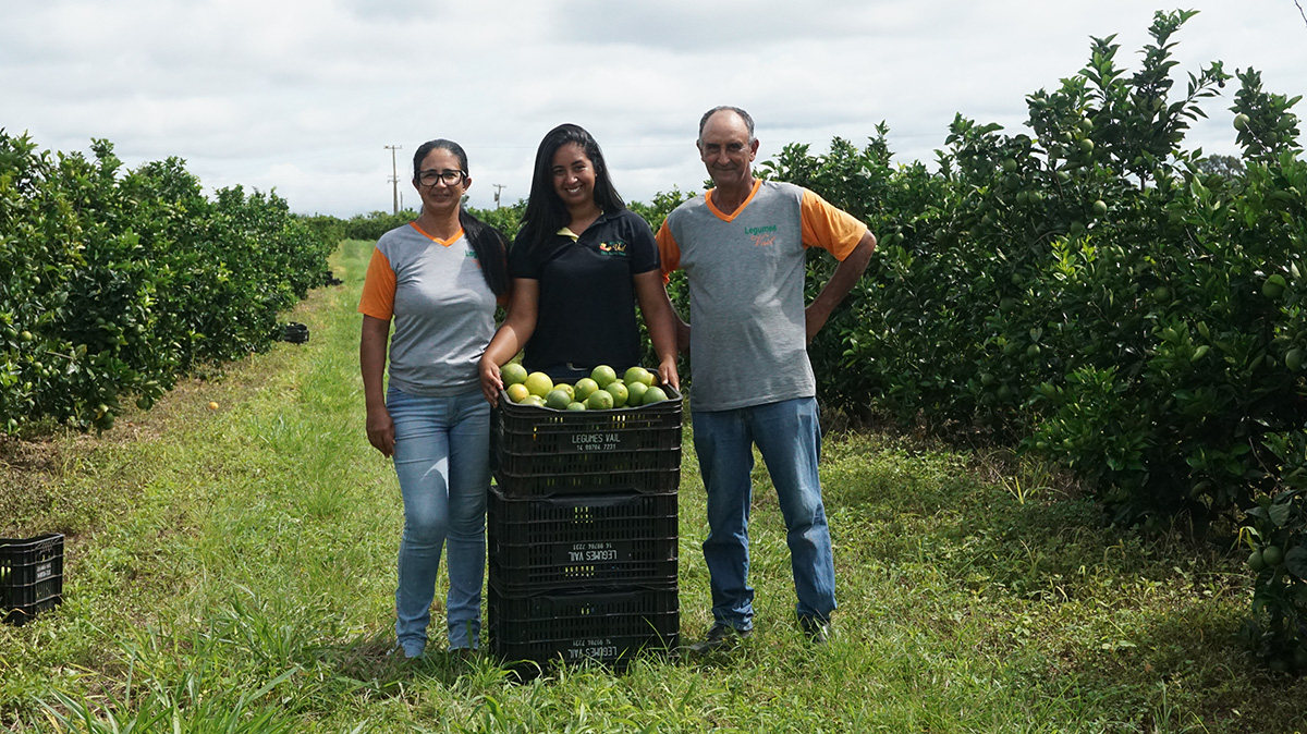 Fruto Resiliente 5 años transformando el sector citricola en Brasil Fruto Resiliente 5 años transformando el sector citricola en Brasil