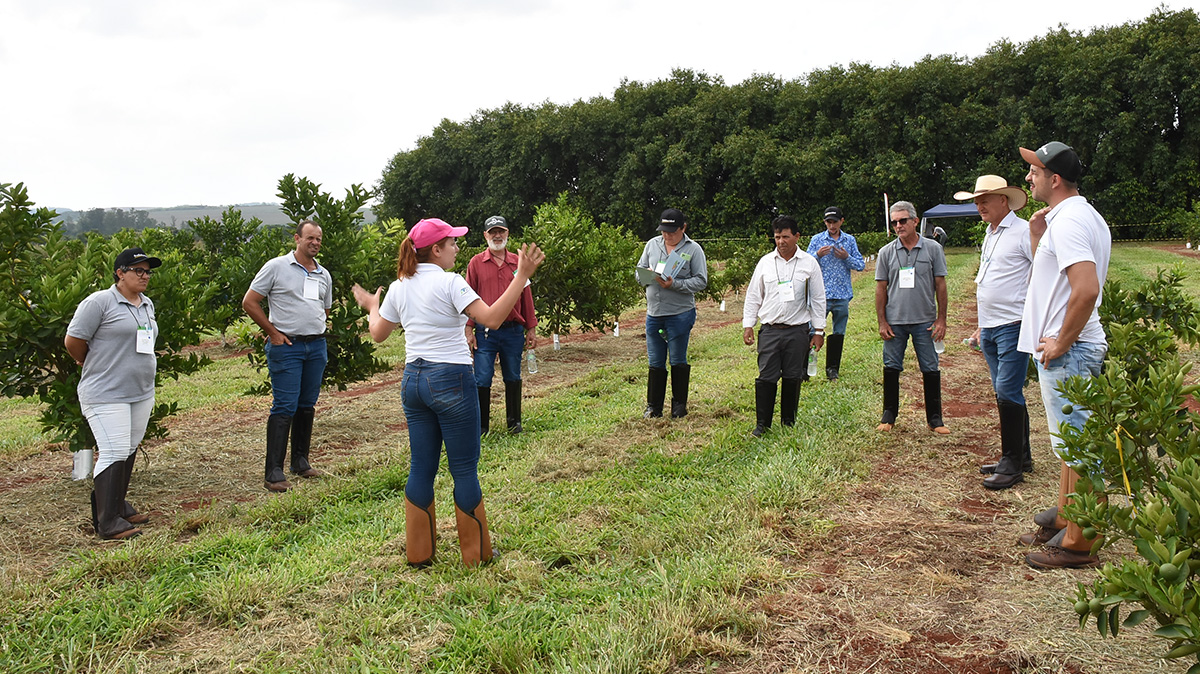 Fruto Resiliente, visita de campo para productores del sector citrícola Fruto Resiliente, visita de campo para productores del sector citrícola