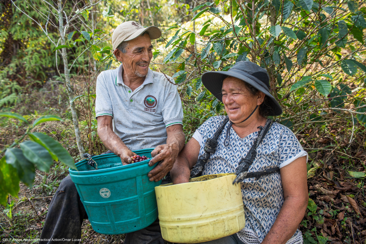 productores café perú de blf