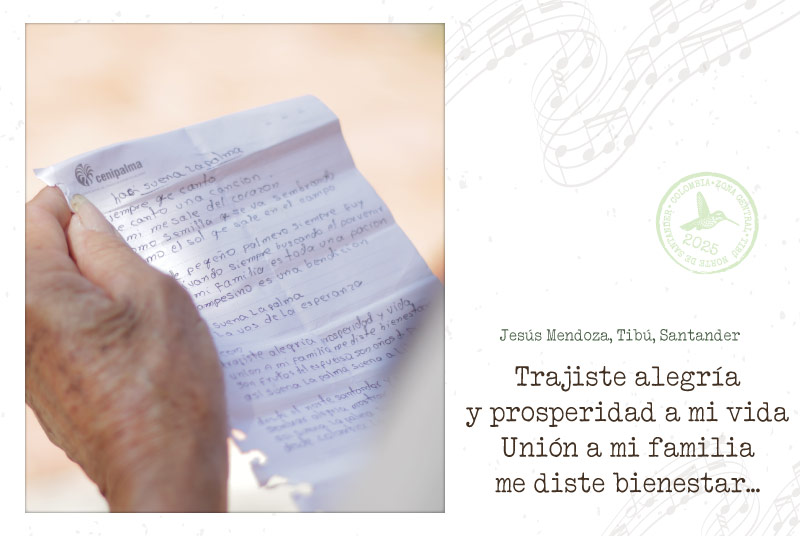 postal-7_JesusMendoza