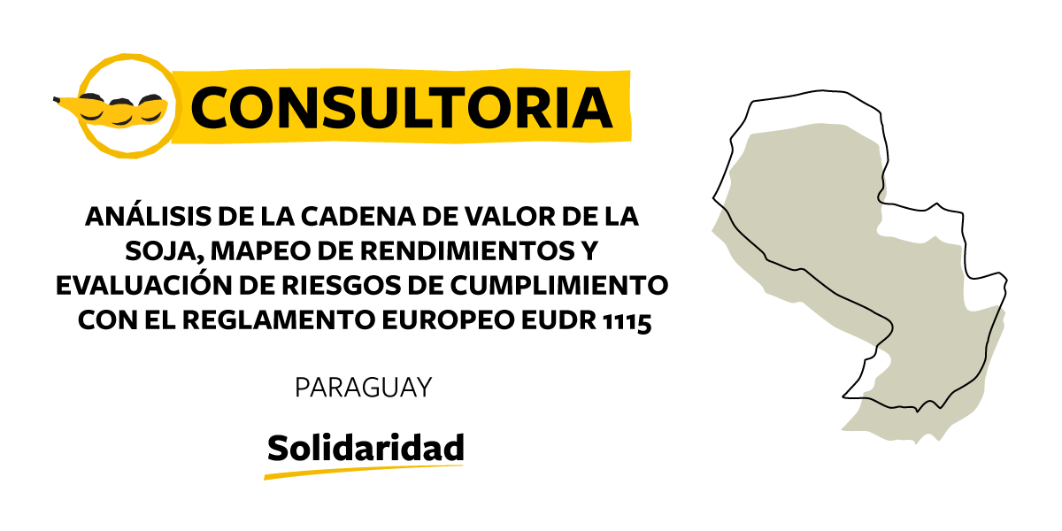 Consultoria-Paraguay-Analisis-EUDR