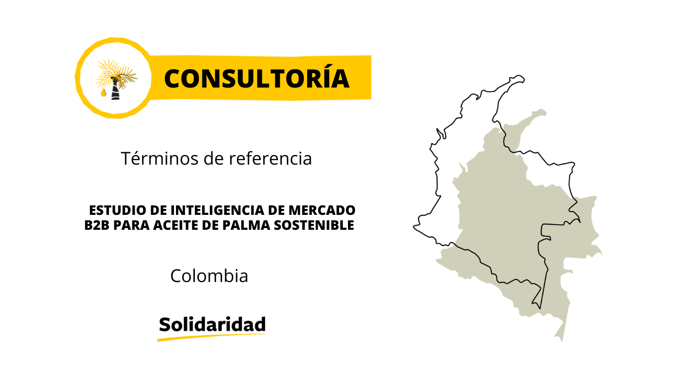 Consultoria_Estudio_InteligenciaMercado_Palma-2