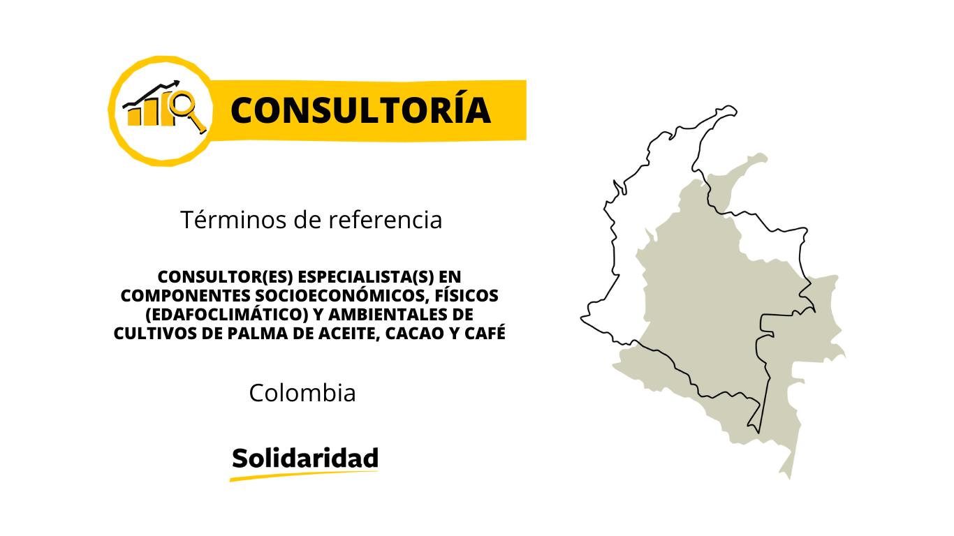 Consultoría_omponentesSocioeconómicos_Cadena-2