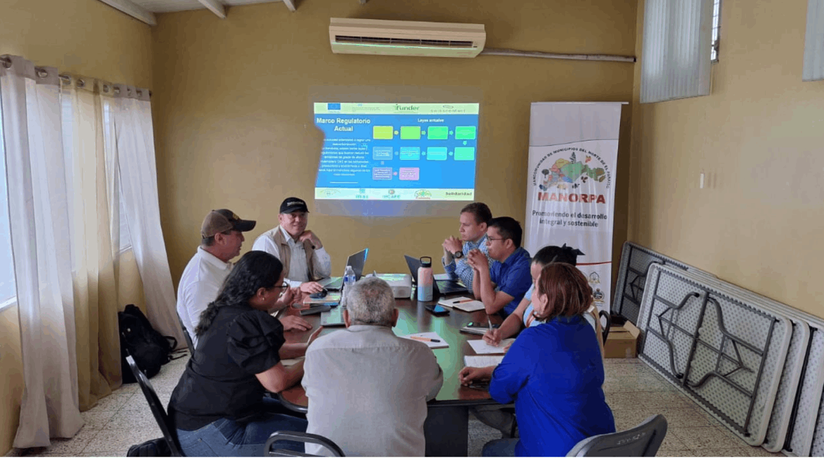 PARAISO VERDE - HONDURAS - CAFE (4)