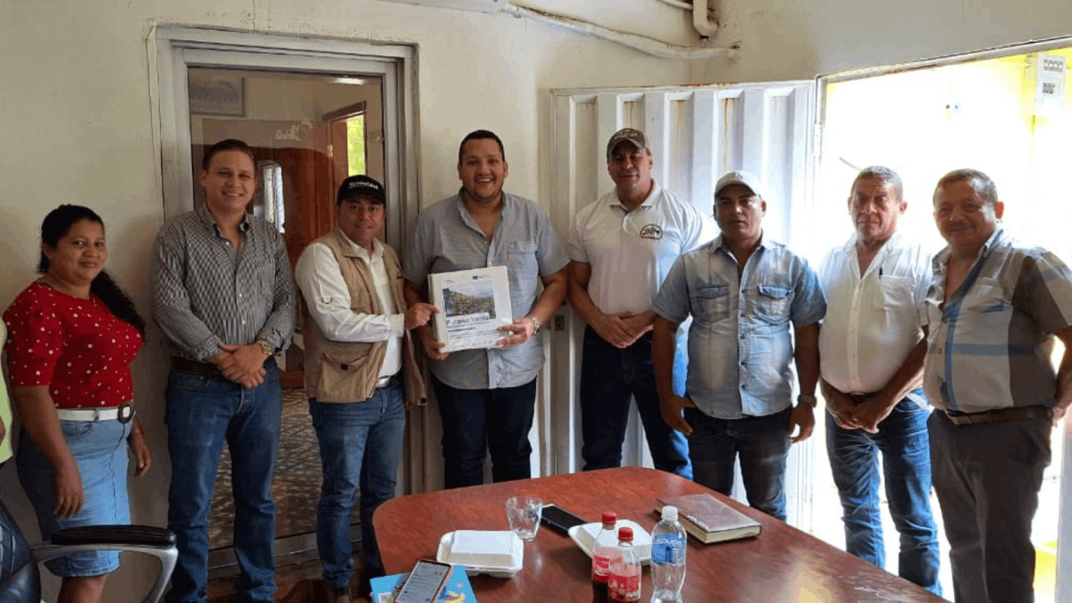 PARAISO VERDE - HONDURAS - CAFE