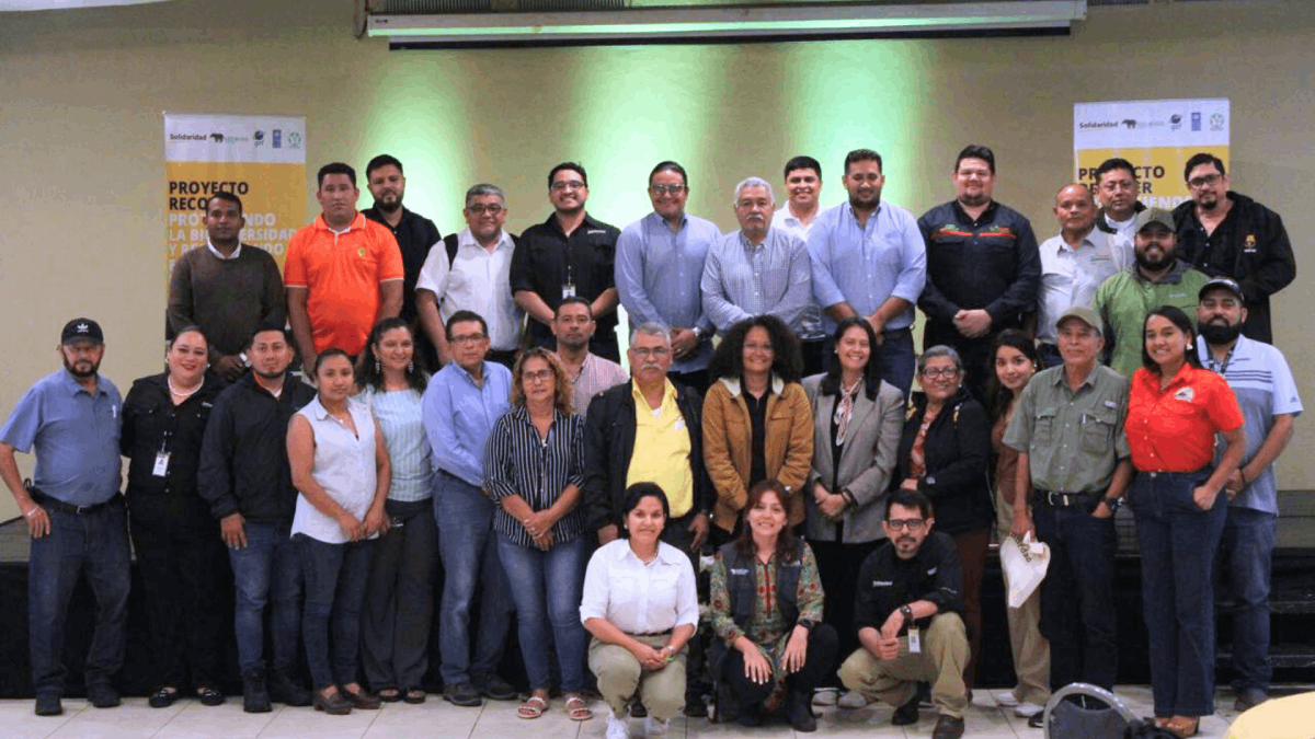 RECOVER - AVCD - HONDURAS (7)