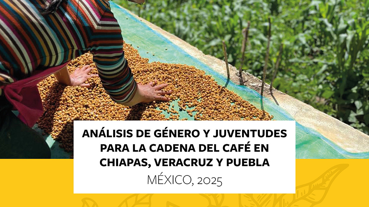 Analisis de Género Portada