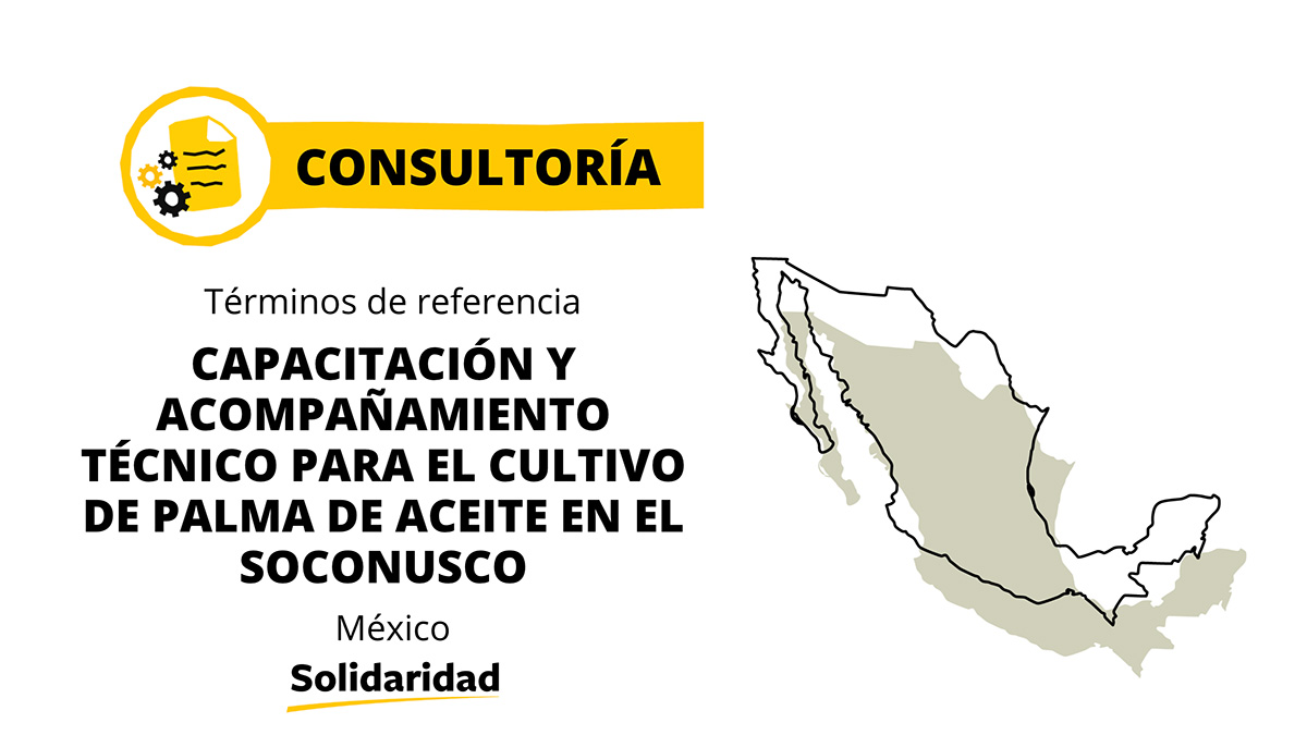 Consultoría: Capacitación y Acompañamiento técnico - palma aceite -México