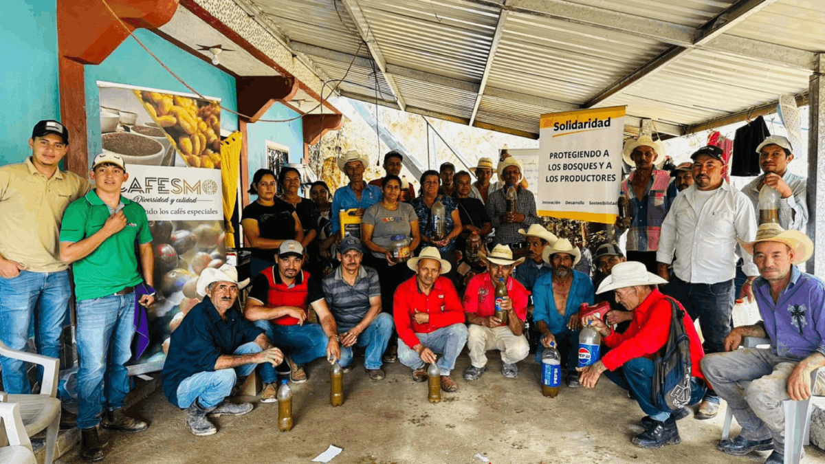 F2F- CAFE- HONDURAS (5) (1) (8)