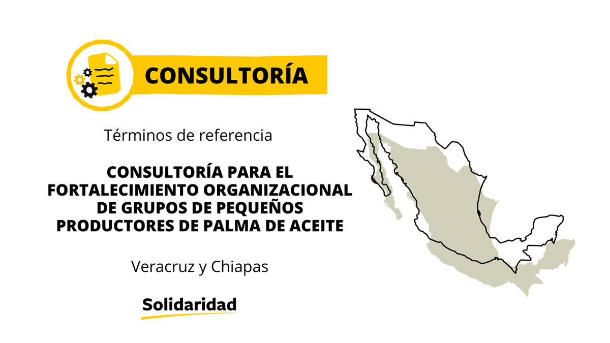 Vacante Mexico Palma 2026