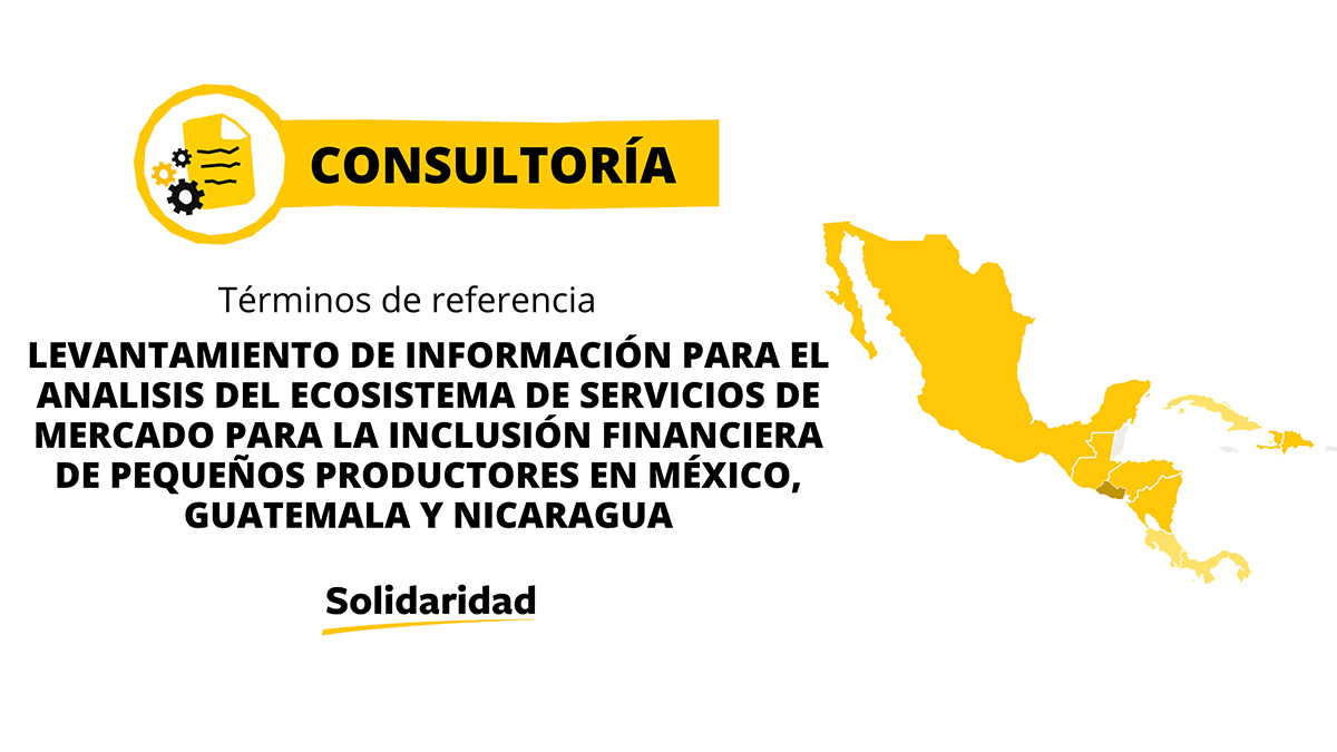 Vacante Consultira