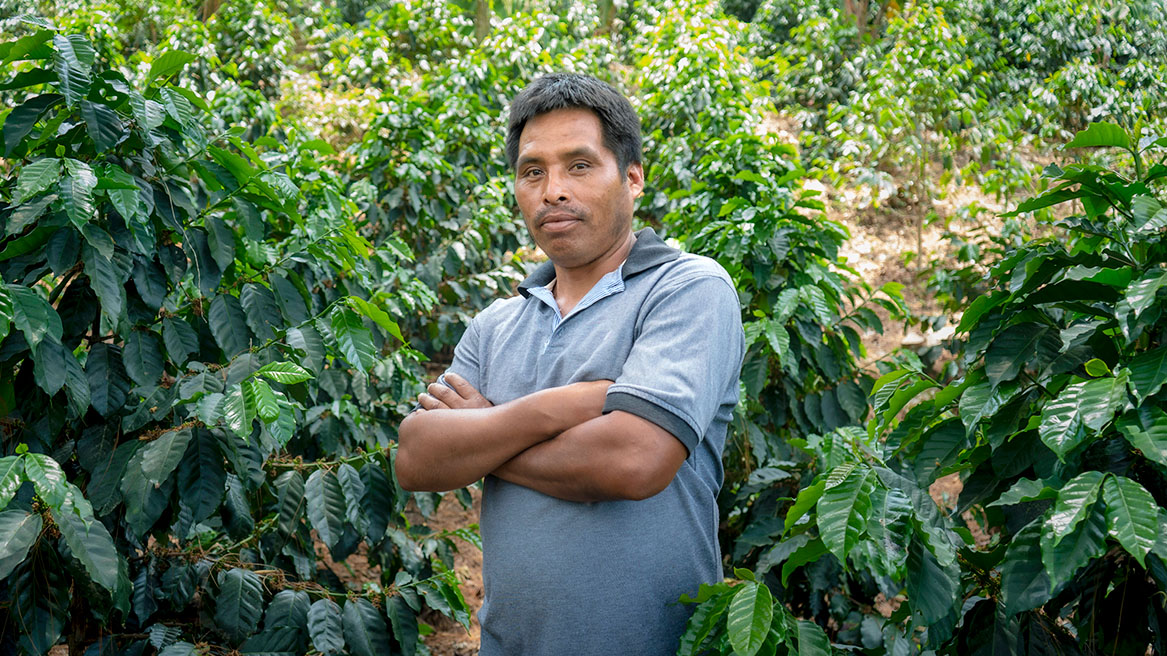 Solidaridad-Mexico-Café-Agapito-Oaxaca-productor-2026-agricultura-regenerativa