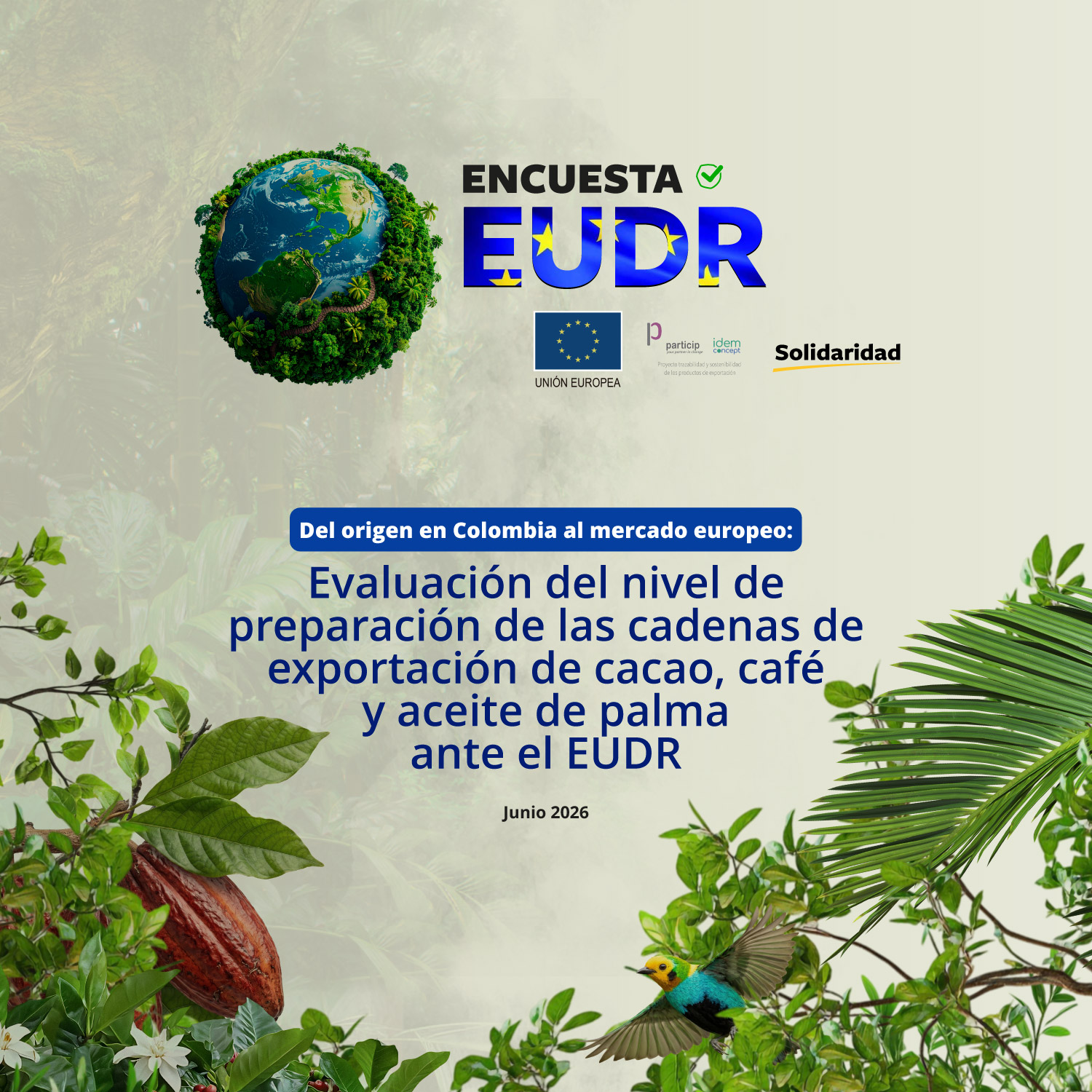 publicacion_WEB_comunicado-2