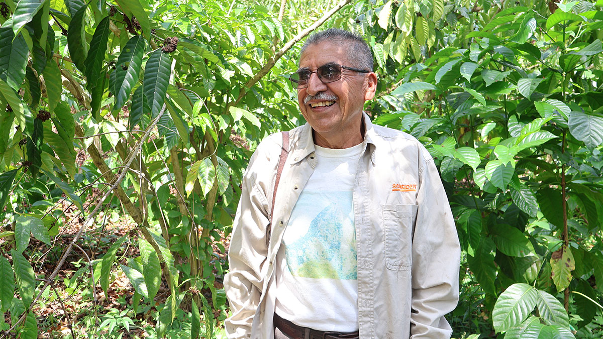 solidaridad-cafe-productor-nestle-oaxaca-pascual-agricultura-regeneativa-guardian-suelo-cafe