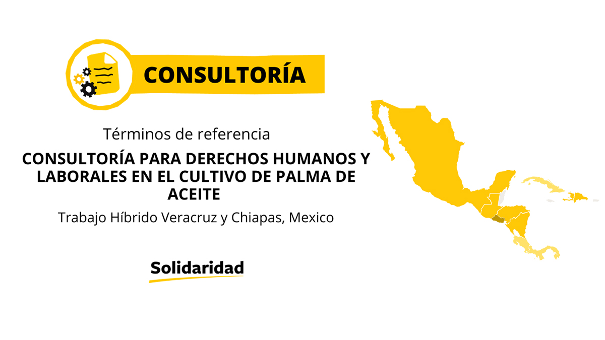 vacante-mexico-palma-ddhh.laborales vacante-mexico-palma-ddhh.laborales