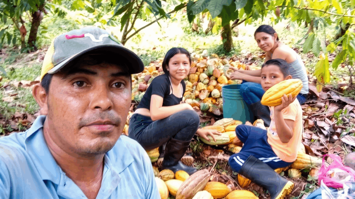 Santos - Cacao - Nicaragua - historia