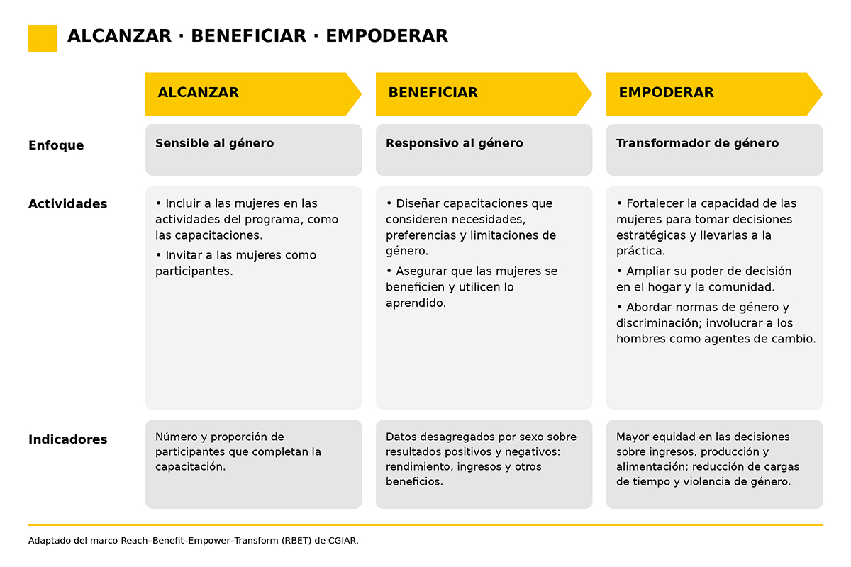 Solidaridad-genero-beneficias-alcanzar-empoderar-diagrama