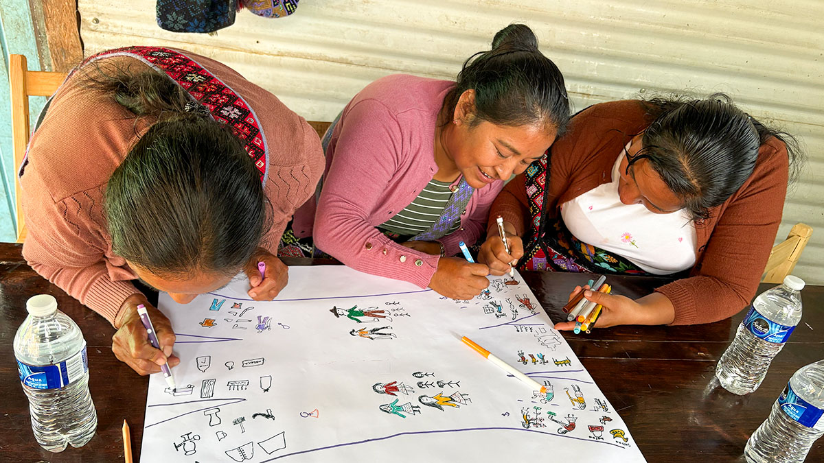 Solidaridad-mujeres-chiapanecas-productoras-cafe-gals-genero.dibujo-comunidad-cafetalera